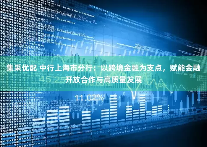 集采优配 中行上海市分行：以跨境金融为支点，赋能金融开放合作与高质量发展