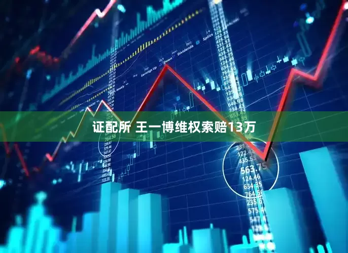 证配所 王一博维权索赔13万