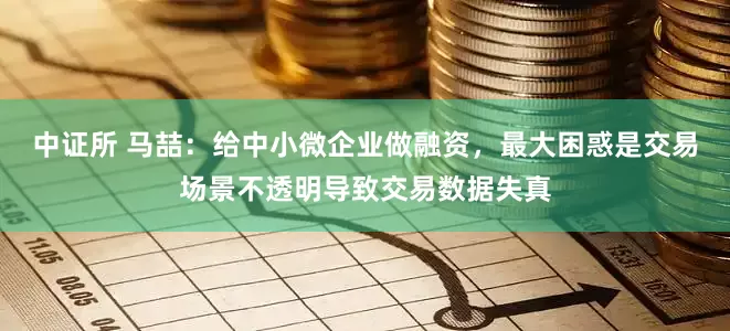 中证所 马喆：给中小微企业做融资，最大困惑是交易场景不透明导致交易数据失真
