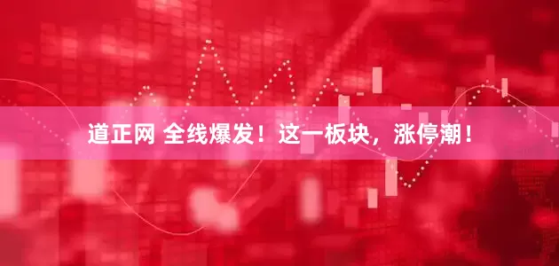 道正网 全线爆发！这一板块，涨停潮！
