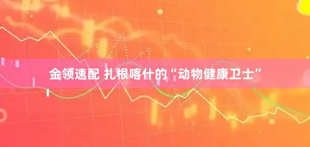金领速配 扎根喀什的“动物健康卫士”
