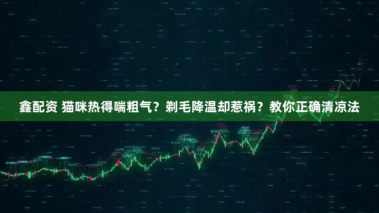 鑫配资 猫咪热得喘粗气？剃毛降温却惹祸？教你正确清凉法