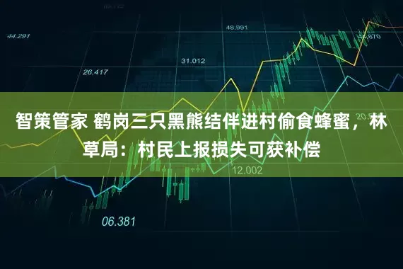 智策管家 鹤岗三只黑熊结伴进村偷食蜂蜜，林草局：村民上报损失可获补偿