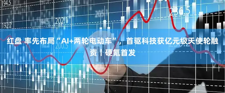 红盘 率先布局“AI+两轮电动车”，首驱科技获亿元级天使轮融资丨硬氪首发