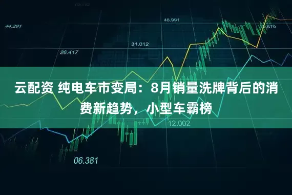 云配资 纯电车市变局：8月销量洗牌背后的消费新趋势，小型车霸榜