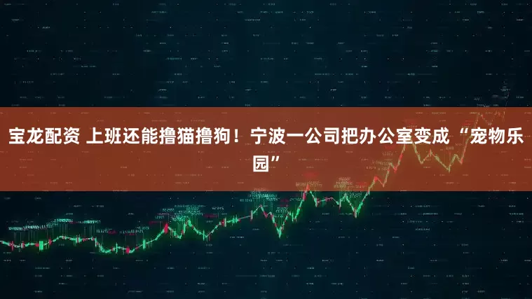 宝龙配资 上班还能撸猫撸狗！宁波一公司把办公室变成 “宠物乐园”