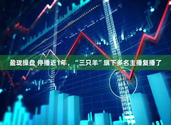 盈珑操盘 停播近1年，“三只羊”旗下多名主播复播了