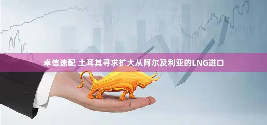 卓信速配 土耳其寻求扩大从阿尔及利亚的LNG进口